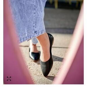 Zodiac Black Pointed Flats